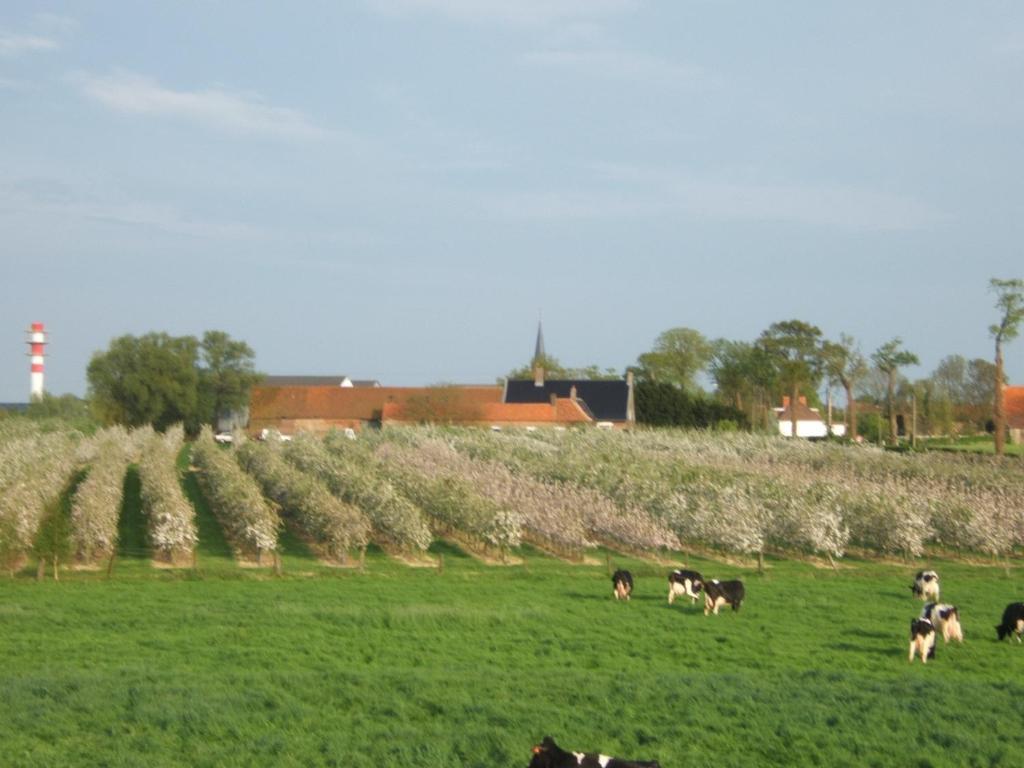 La Vallée des Trois Monts Saint-Sylvestre-Cappel Extérieur photo